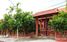 Ngôi nhà gốm 'độc nhất vô nhị' ở Vĩnh Long được xác nhận kỷ lục Việt Nam