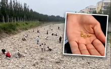 Rắc vàng "fake" xuống lòng sông rồi tung tin cơn sốt vàng, người đàn ông lập tức bị cảnh sát bắt giữ: Cái giá của việc sống ảo