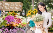 Kiếm tiền triệu nhờ xe hoa “Bán mùa thu Hà Nội", kinh doanh “trúng tim đen” nhiều người nhưng ai cũng vui