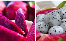 Loại quả rẻ tiền, dễ tìm ở Việt Nam, giúp ngăn ngừa ung thư và kéo dài tuổi thọ