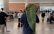 Bị mỉa mai vì ôm chiếc lá lên máy bay, chàng trai khiến mọi người sốc khi tiết lộ 'lai lịch' của nó