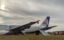 Nga: Máy bay chở khách hạ cánh khẩn cấp giữa cánh đồng