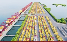 Thành ủy TP.HCM thống nhất chủ trương đề án siêu cảng Cần Giờ hơn 5 tỷ USD