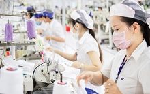 Tăng hàng chục tỷ USD xuất khẩu mỗi năm nhờ các FTA