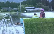 Chuyện "bỏ phố về quê" của giới trẻ Nhật Bản