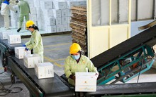 Ba mặt hàng nông sản vào nhóm tỉ USD