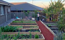 Ngôi nhà nhỏ với khu vườn đầy nắng của gia đình 7 người ở ngoại ô