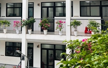 Một ngôi trường THCS công lập ở quận Đống Đa đang khiến phụ huynh xuýt xoa vì quá xinh, hoa cỏ trông rất nên thơ