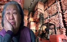 2 vợ chồng chi gần 6 tỷ đồng mua dự trữ 493 tấn tỏi trong kho lạnh, đến ngày "xuất khẩu" thì không còn 1kg nào: Cảnh sát vào cuộc điều tra, 1 người bị bắt giữ