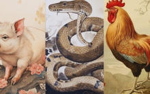 4 con giáp là thần may mắn, mang đến tài lộc và phú quý cho gia đình