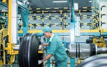 Cao su Đà Nẵng 'dính' ba quyết định xử phạt về thuế, hải quan