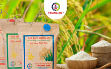 Cổ phiếu bị cắt margin, Gạo Trung An chuẩn bị trả cổ tức tỷ lệ 10%