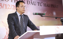 Hải Phát (HPX): Gần 1/3 vốn Công ty bị “bán tháo”, Chủ tịch Đỗ Quý Hải gửi thư xin lỗi cổ đông