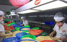 Lật tẩy đường dây nhập lậu điều, chiếm đoạt hơn 120 tỷ đồng thuế