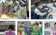 Nắm giữ nguồn vốn "khủng", DNNN cần phát huy lợi thế của "quả đấm thép"