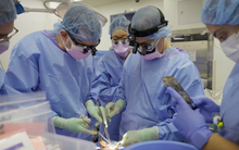 Kết thúc ca cấy ghép thận từ lợn sang người kéo dài kỷ lục 61 ngày