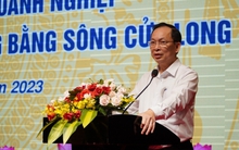 Tập trung vốn, tạo mọi điều kiện cho doanh nghiệp thu mua chế biến, tạm trữ lúa gạo