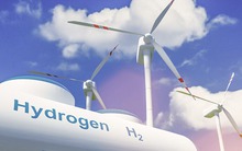 "Vàng đen" sẽ dần chìm vào dĩ vãng, nguồn năng lượng của tương lai này đang được Việt Nam tích cực phát triển