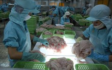 Đơn hàng dồi dào, nhiều ngành khởi sắc