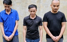 Vạch trần chân tướng nhóm người làm chủ nhiều công ty “ma”