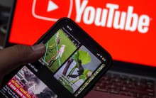 Tìm cách quản lý nền tảng xuyên biên giới