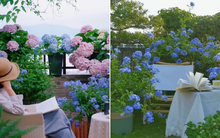 Cô gái mang cỏ lên trồng ở sân thượng, mùa hè không cần phải ra công viên vẫn có chỗ picnic siêu xinh