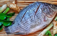 Ăn cá rô phi chưa nấu chín, người phụ nữ bị cụt hết tay chân