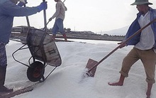 Mỗi năm Việt Nam nhập khẩu hàng tỷ USD tiền muối