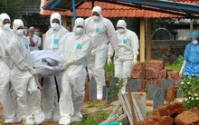 Virus Nipah bùng phát: Tỷ lệ tử vong cao gấp 20 lần COVID-19, WHO cảnh báo có thể gây ra đại dịch tiếp theo