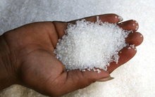 Giá đường tăng lên mức kỷ lục 12 năm