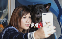 Nghề ngoại cảm cho thú cưng kiếm bộn tiền ở Trung Quốc