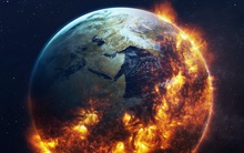 Cảnh báo nguy cơ xảy ra cuộc đại tuyệt chủng lần thứ 6 trên thế giới