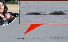 'Thợ săn' quái vật hồ Loch Ness công bố bức ảnh thủy quái huyền thoại?
