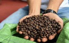 Giá xuất khẩu tăng vùn vụt 6 tháng liên tiếp, một loại hạt của Việt Nam tràn ngập thị trường quốc tế mang về gần 3 tỷ USD, giữ vững vị trí nhà xuất khẩu thứ 2 thế giới