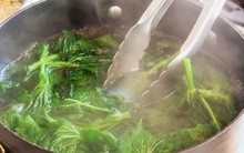 Nên đậy hay mở vung khi luộc rau?