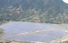 Bộ Công an yêu cầu cung cấp hồ sơ dự án điện mặt trời ở Khánh Hòa