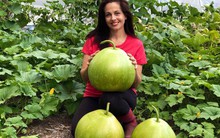 Khu vườn rau sạch được cô gái chăm sóc và quy hoạch từ năm 15 tuổi