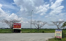 Điểm mặt những khu vực bất động sản “đất có thóc, chim đến ở”