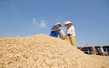 Một quốc gia Nam Mỹ bất ngờ gom mạnh gạo Việt Nam, nhập khẩu tăng hơn 4.000% trong 8 tháng