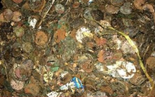 Dọn giếng khô bỏ không, bất ngờ tìm được 'kho báu'