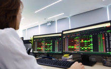 Cổ phiếu liên tục giảm sâu, điều gì đang diễn ra ở cổ phiếu VUA?