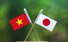 Dư địa để phát triển quan hệ Việt Nam - Nhật Bản còn rất lớn