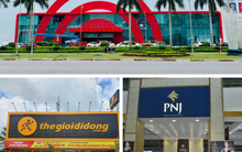 Top 10 Công ty Bán lẻ uy tín năm 2023: Central Retail, Thế giới di động, PNJ giữ vững top 1, Saigon Coop thăng hạng