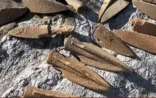 Ông lão lên núi đào được dao gỉ sét, đem bán ai ngờ hốt bạc tỷ