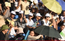 Nghìn người đội nắng đến xem 16 ông trâu Đồ Sơn thi chọi