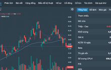 Động thái của Đặng Thị Hoàng Yến ngay khi cổ phiếu ITA được gỡ “lệnh” cảnh báo - kiểm soát