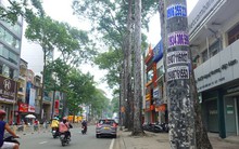 Loạt trụ đèn lộ vẻ nhếch nhác sau tháo cỏ nhựa, quận 5 nói gì?