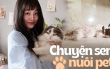 Nỗi niềm “con sen": Mỗi tháng tốn gần 5 triệu nuôi chó mèo, lỡ bị bệnh thì hết luôn 2 triệu/ tuần