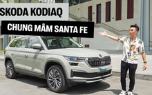 Skoda Kodiaq ra mắt Việt Nam: Cạnh tranh Santa Fe với giá từ 1,189 tỷ, có sẵn ô ở cửa như Rolls-Royce