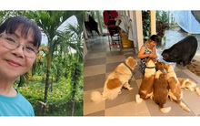 Ca sĩ Ánh Tuyết sở hữu gia tài khủng thế nào mà bạn bè gọi là "tỷ phú"?